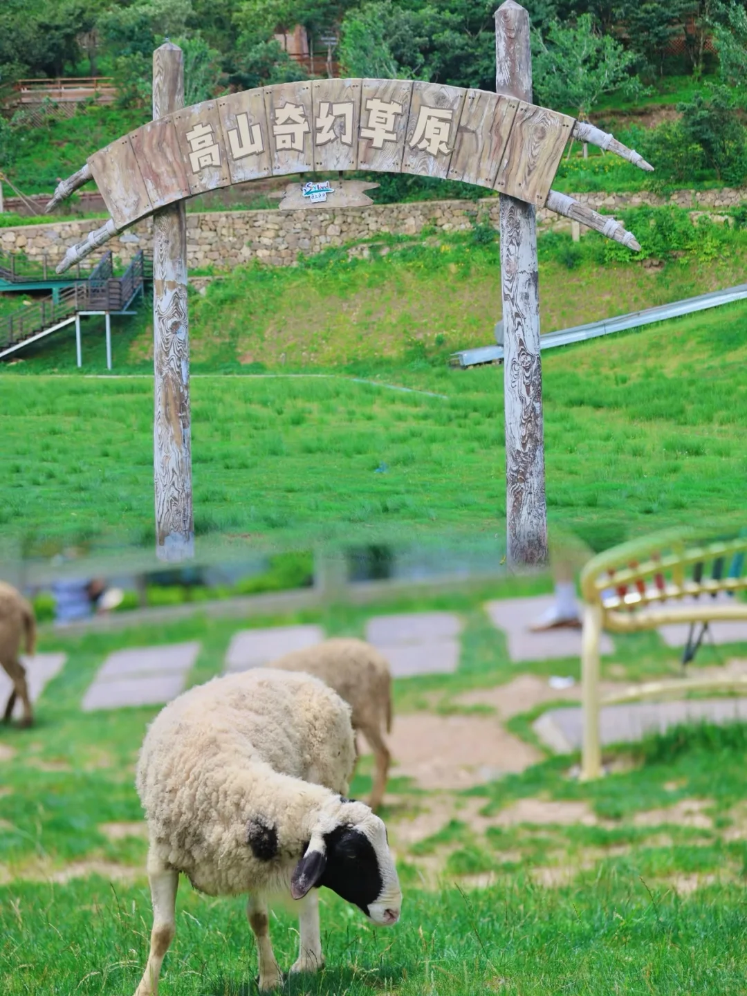 刚从云上草原回来！总结了一份不踩雷攻略