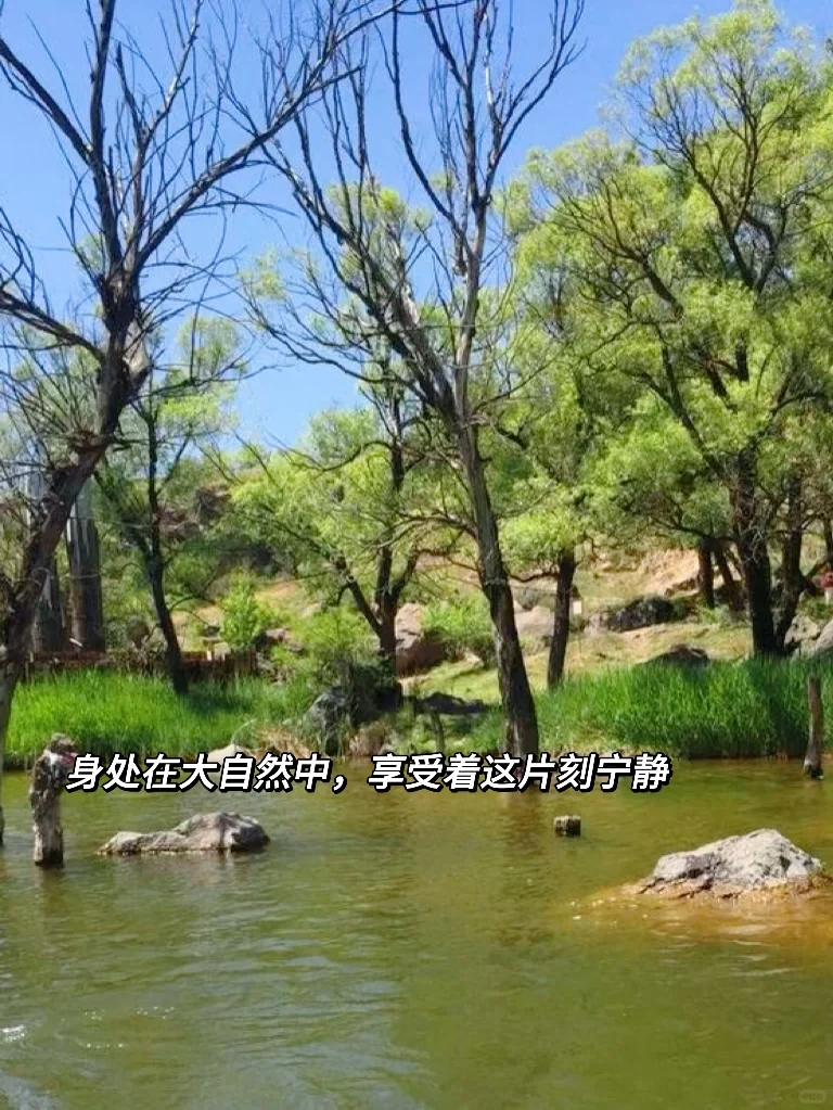 旅行plog｜🚣春游去哪里❓乌龙峡不能错过