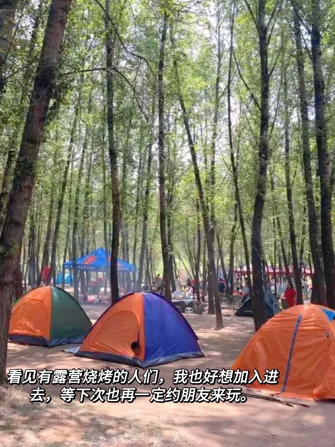 旅行plog｜🚣春游去哪里❓乌龙峡不能错过