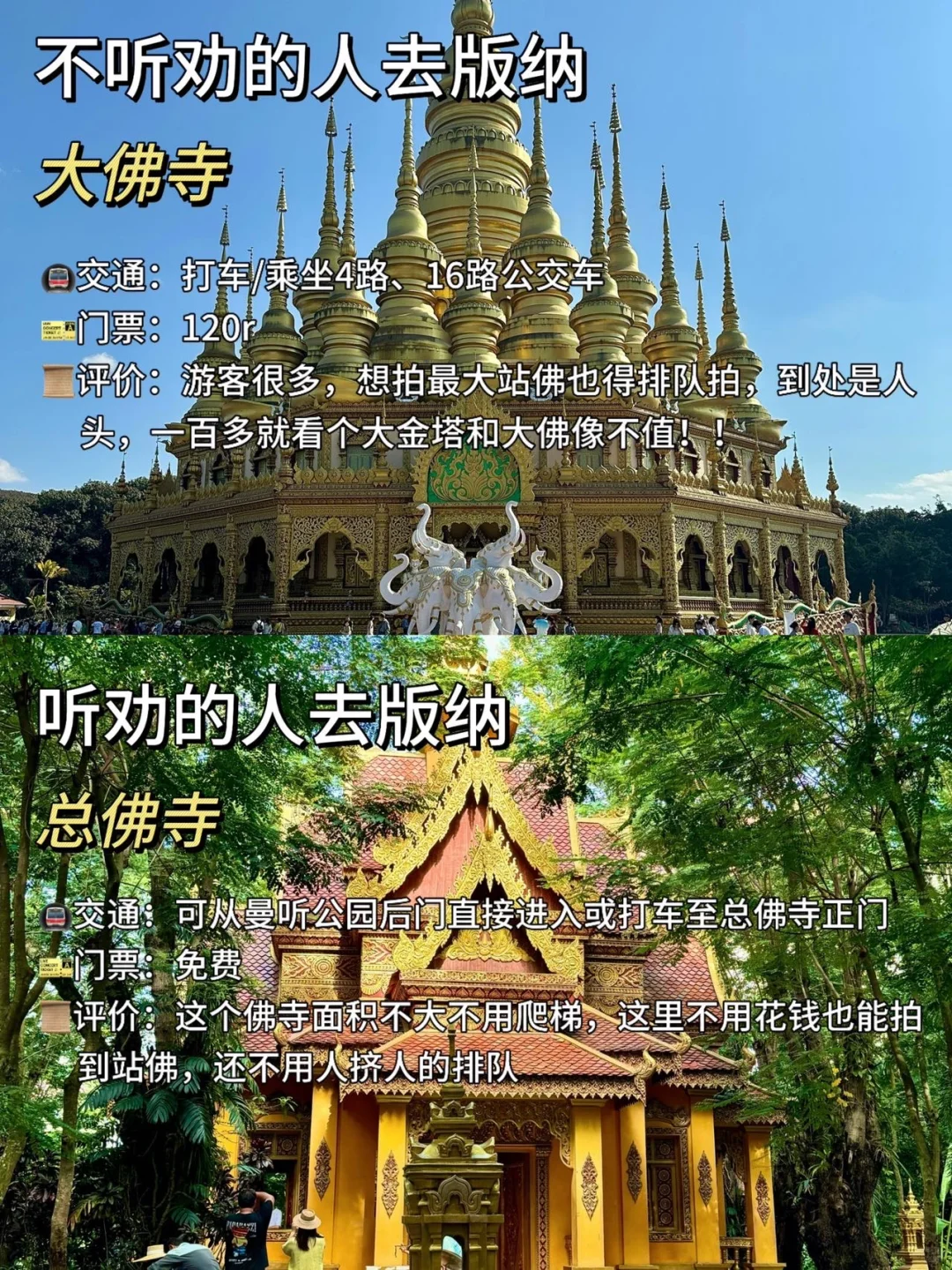 旅游旺季去版纳‼️热门景点不听劝vs听劝