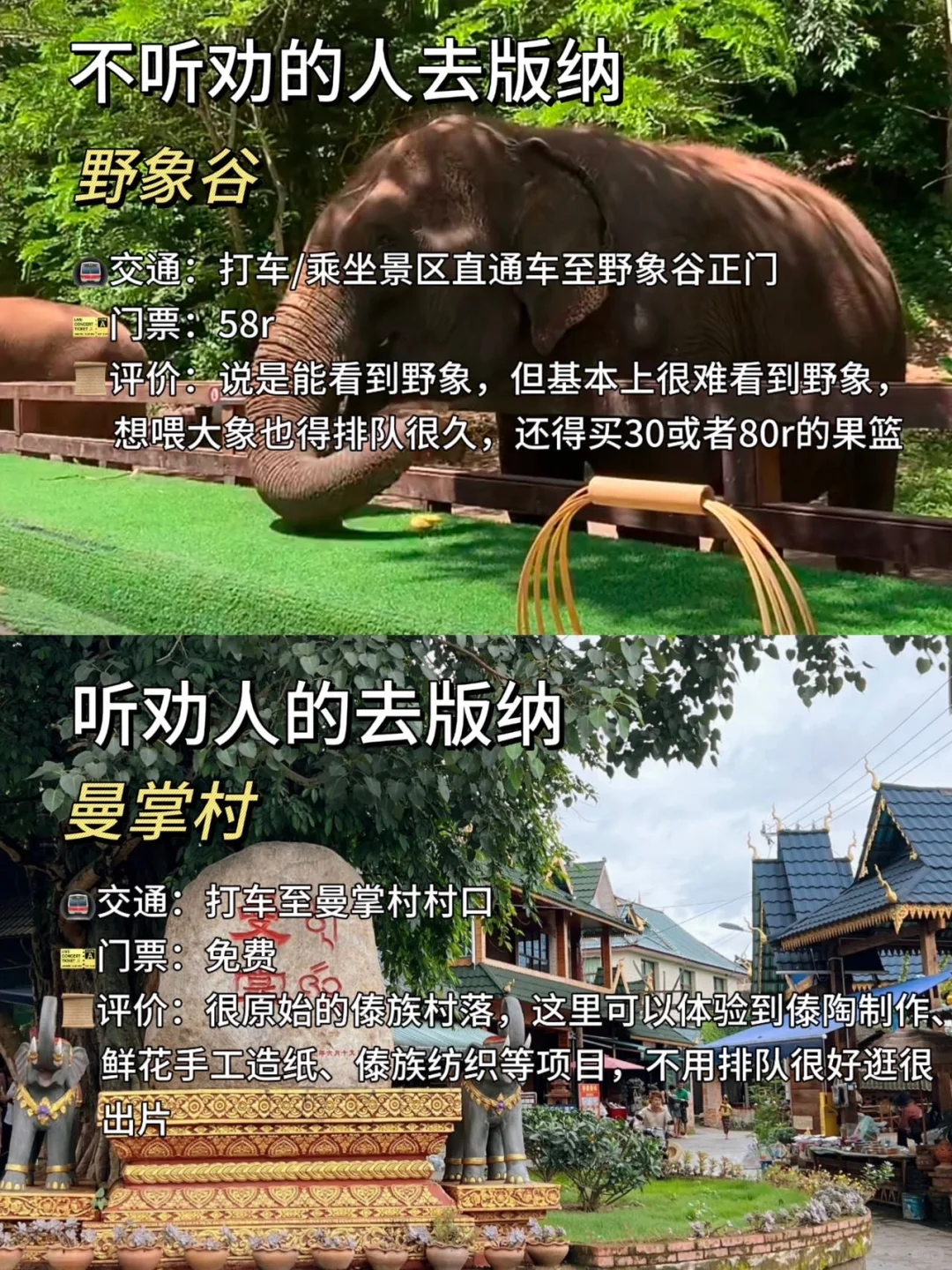 旅游旺季去版纳‼️热门景点不听劝vs听劝