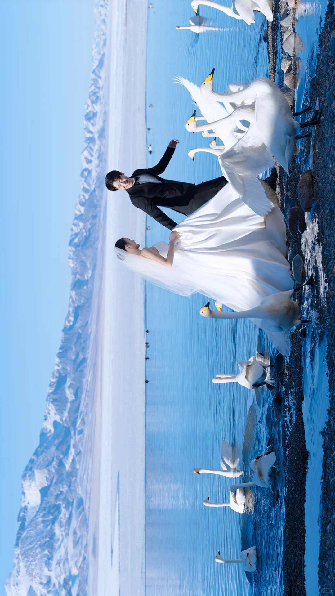 10月旅拍婚纱照现状😓想旅行结婚的听劝‼️