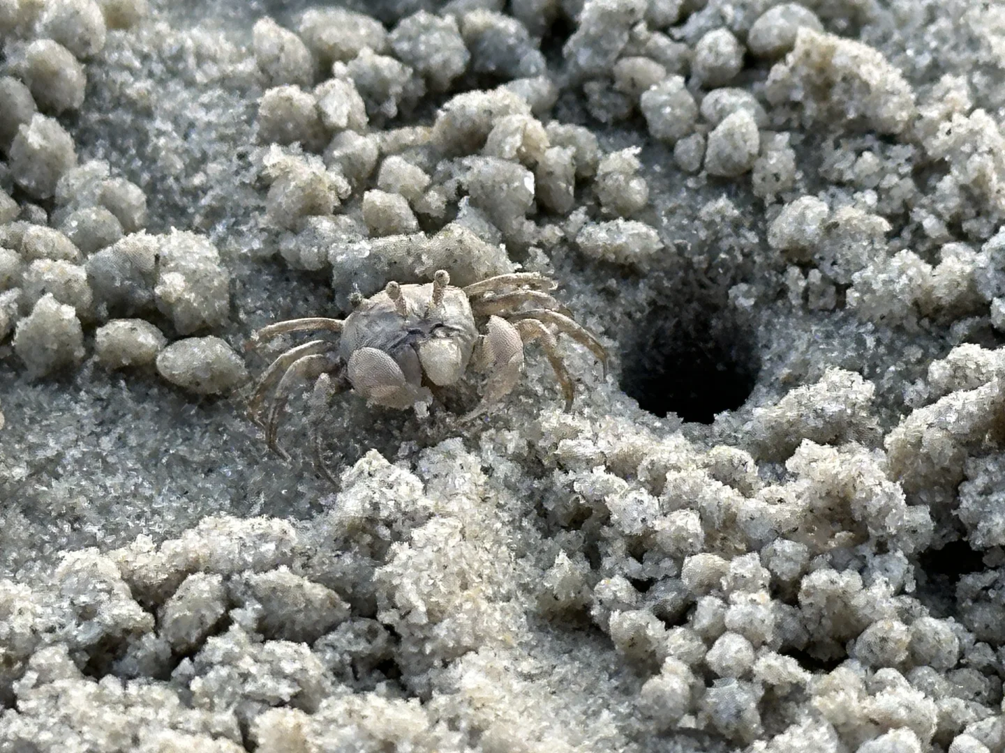 广西8日游 | 阳朔→桂林→涠洲岛→北海🏖️