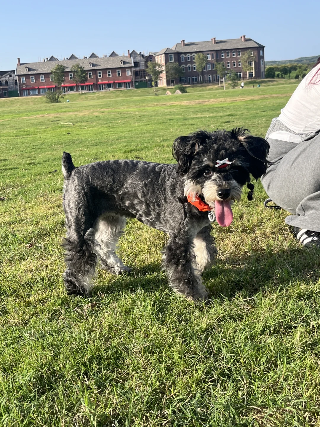 洛阳周末好去处 放空自己～🍃