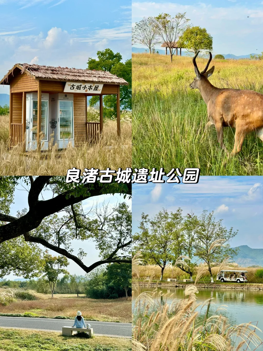 杭州除了西湖！还有这些地方更值得去！