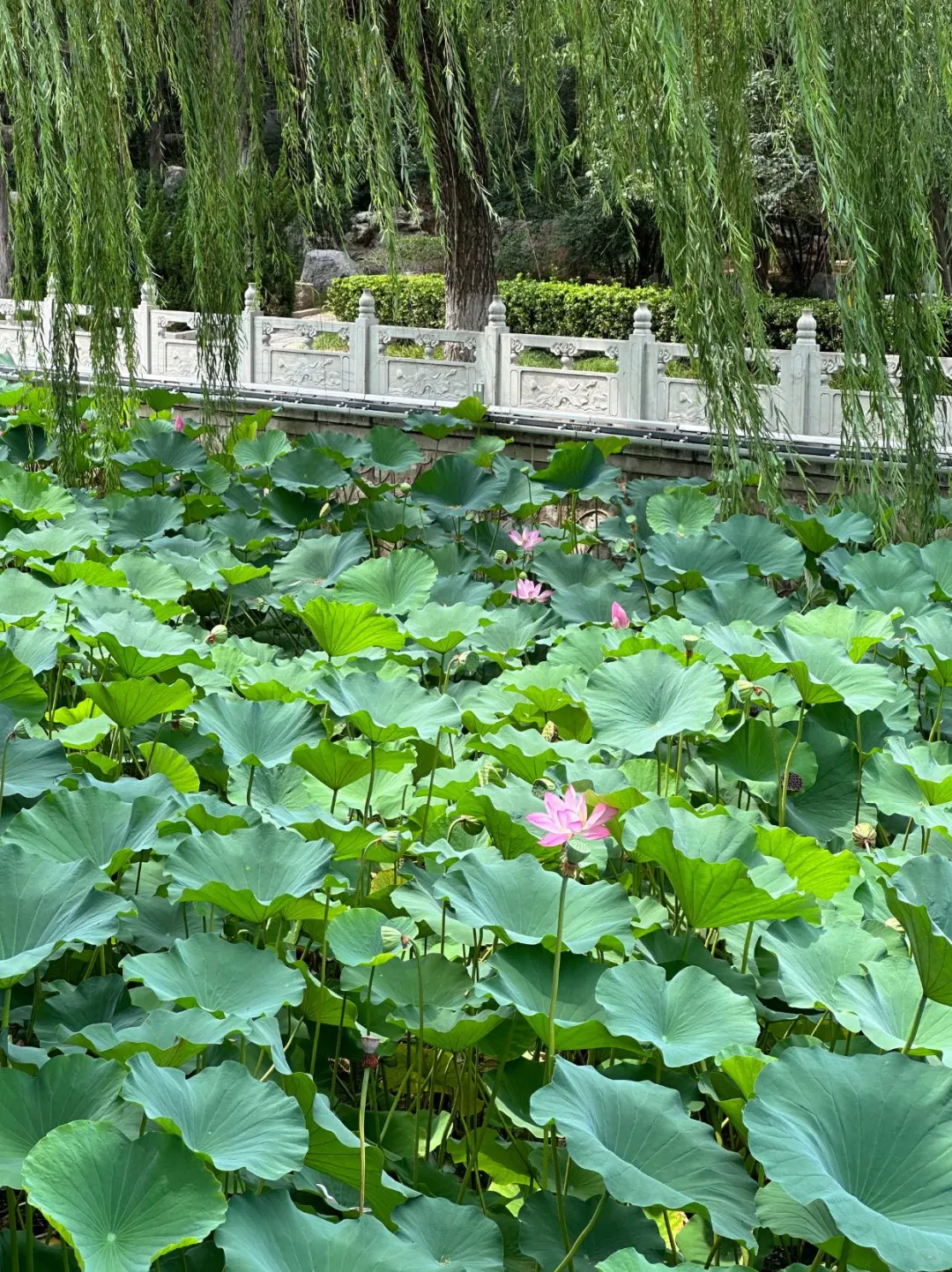 谁懂啊！夜游响堂山石窟也太震撼了！✨