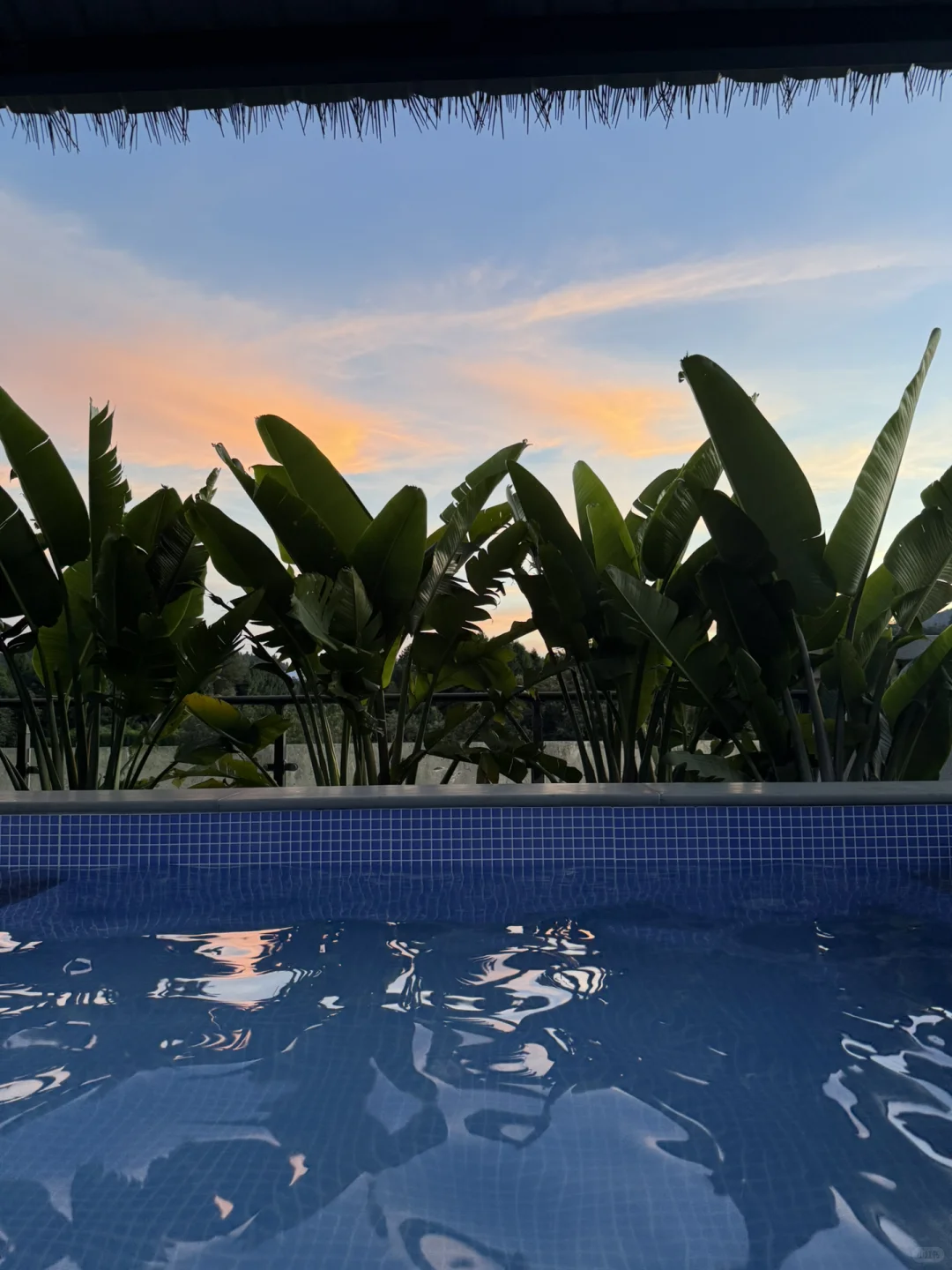 建议成都打工人直接抄作业！