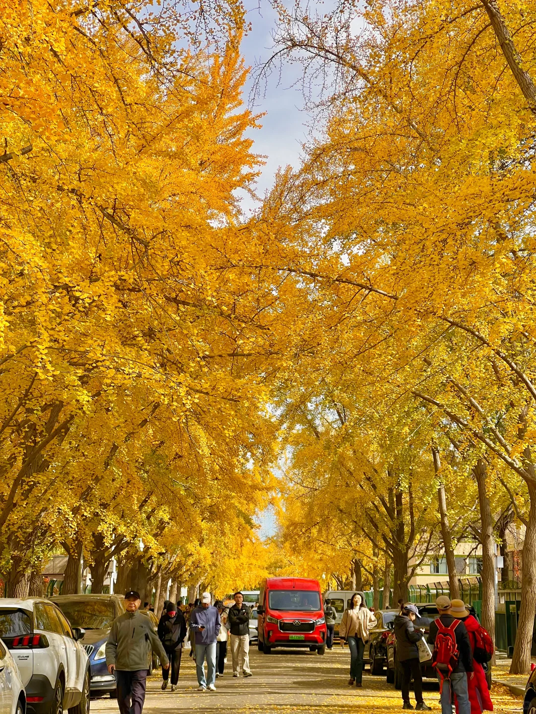 北京开始赏秋啦❗️附3⃣️条胡同赏秋路线🗺️
