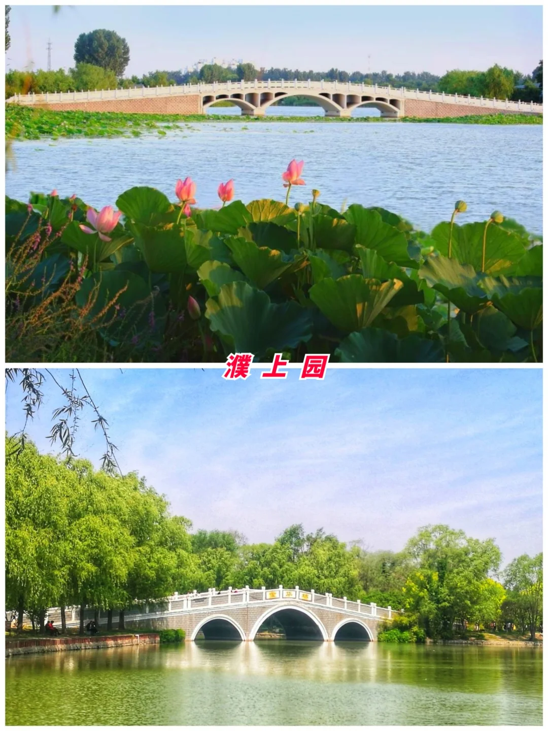 河南旅游第8站 | 濮阳最值得去的7个景点‼