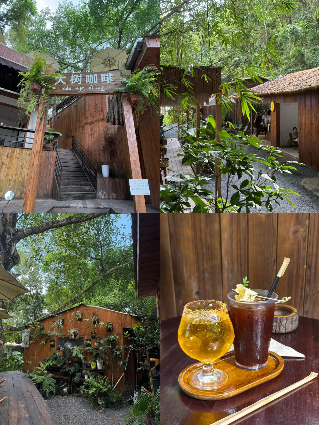 建议成都打工人直接抄作业！