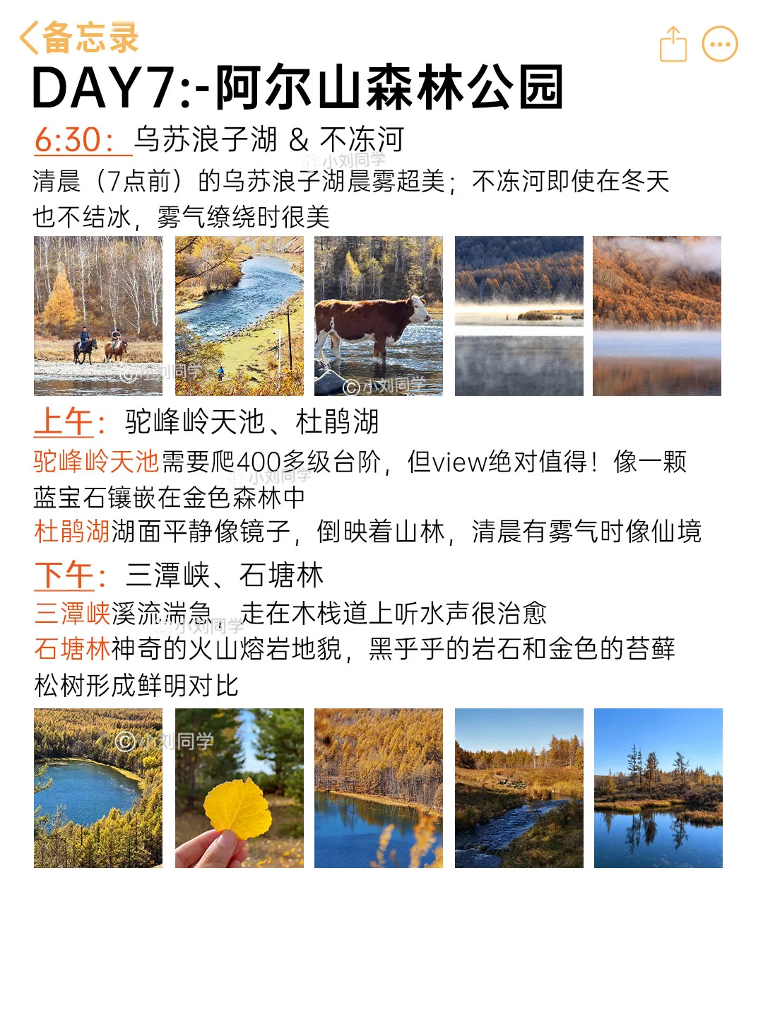 INTJ的👉阿尔山+大兴安岭+呼伦贝尔旅行攻略