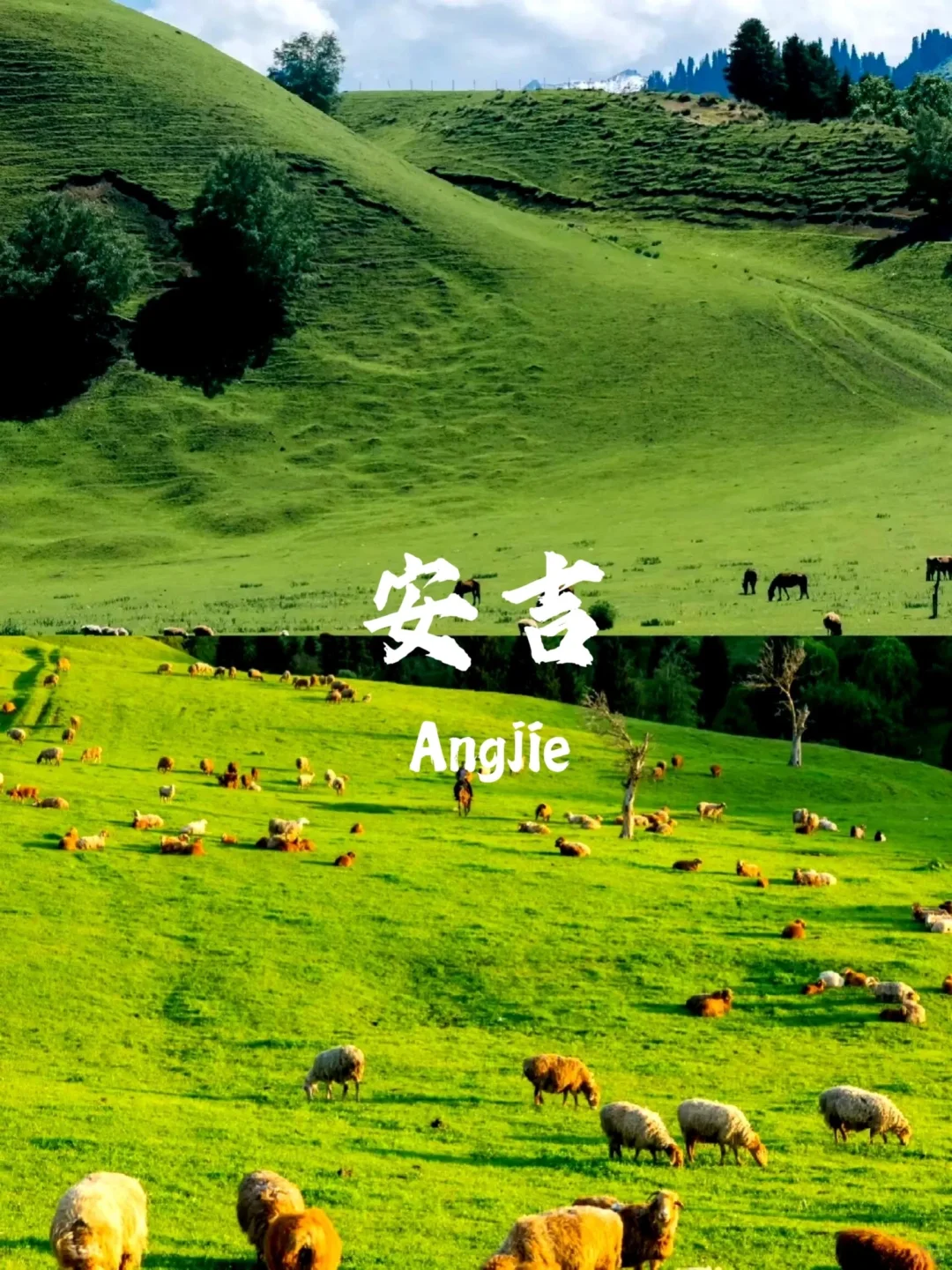 安吉📍小众的“小瑞士”，10月人均100+