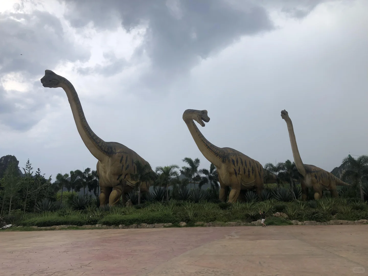 扶绥龙谷湾景区