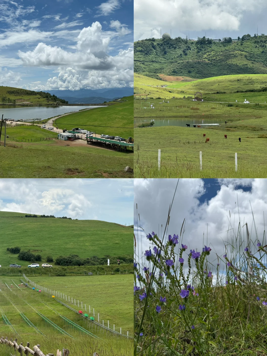 建议成都打工人直接抄作业！