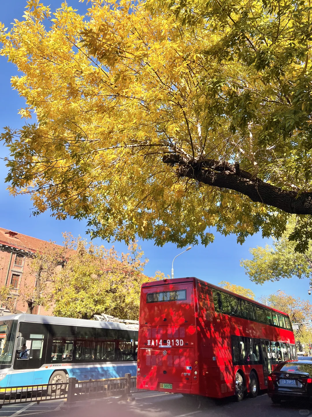 北京开始赏秋啦❗️附3⃣️条胡同赏秋路线🗺️