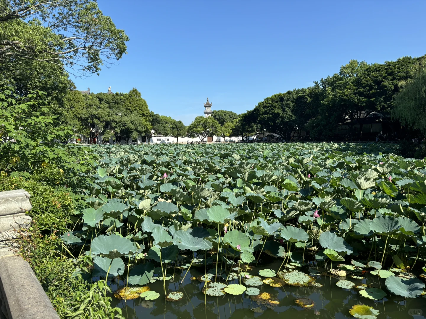 宁波+普陀山3天游玩攻略（南京出发，全程无广