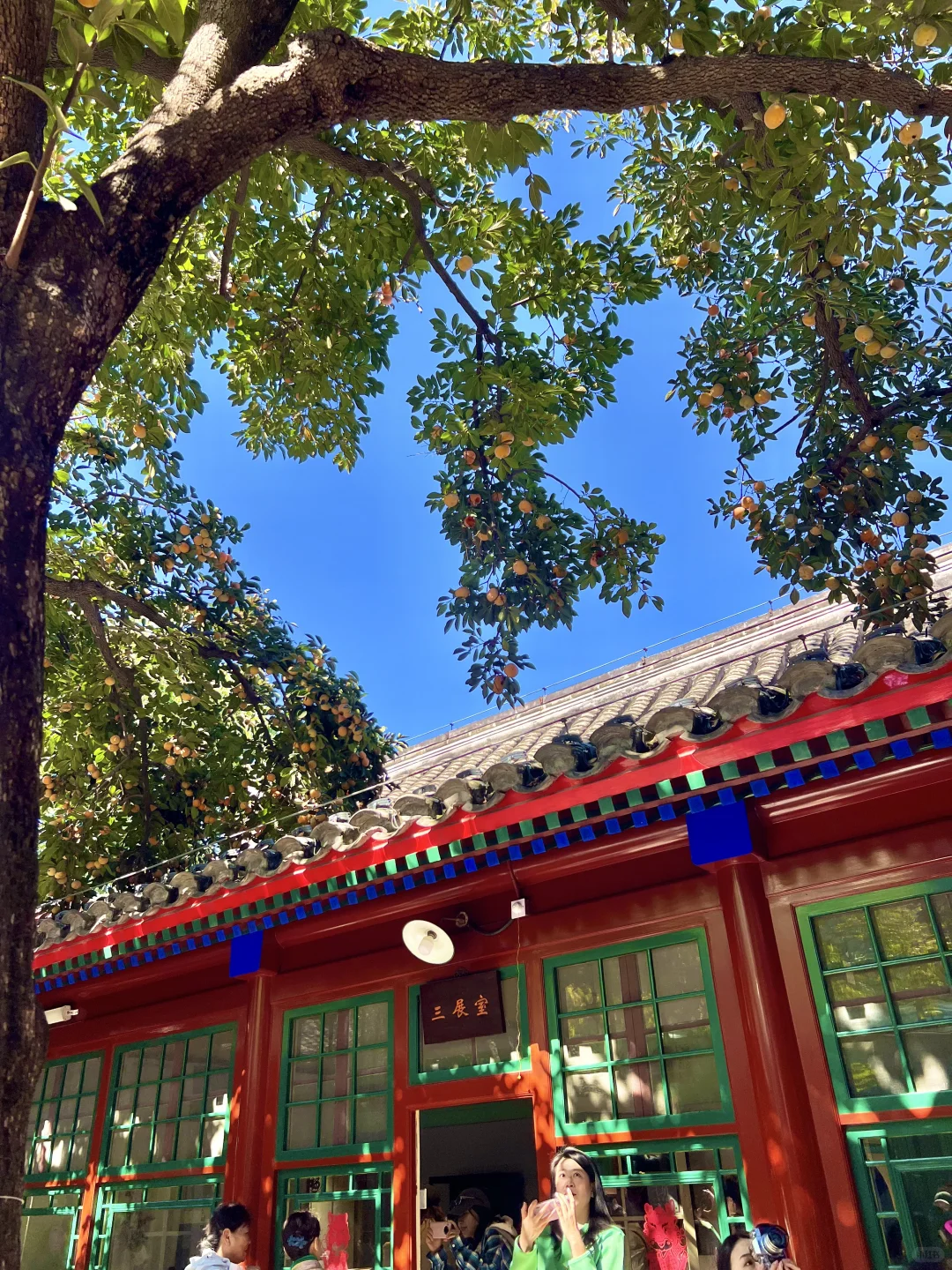 北京开始赏秋啦❗️附3⃣️条胡同赏秋路线🗺️