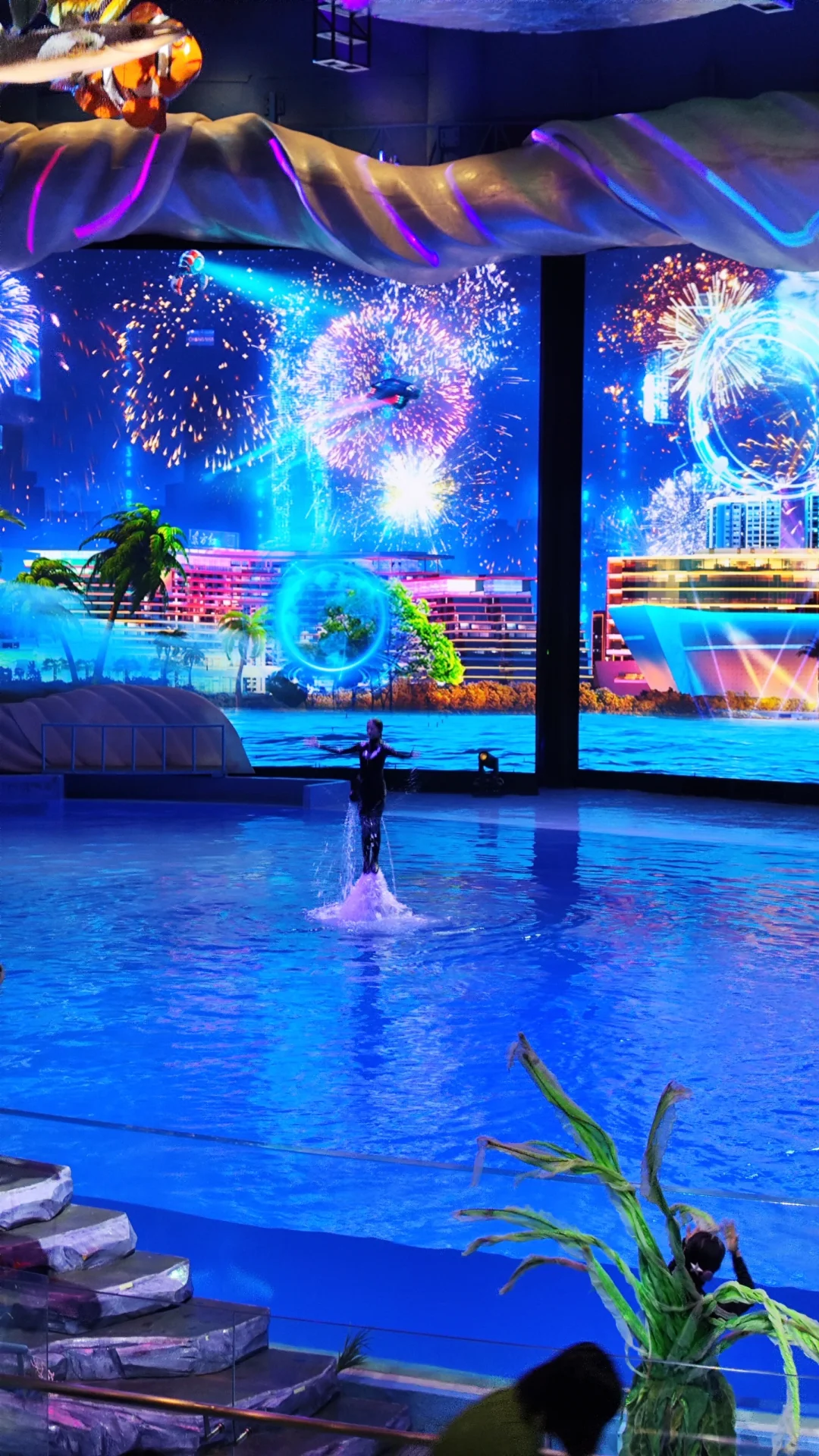 小梅沙海洋世界演出太绝了