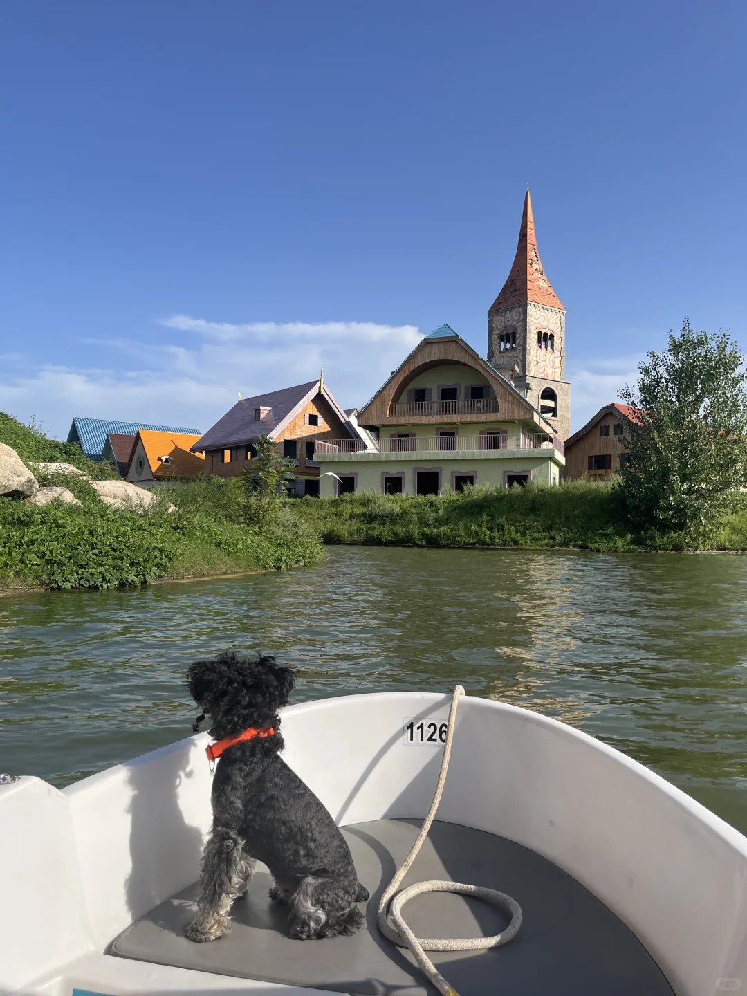 洛阳周末好去处 放空自己～🍃
