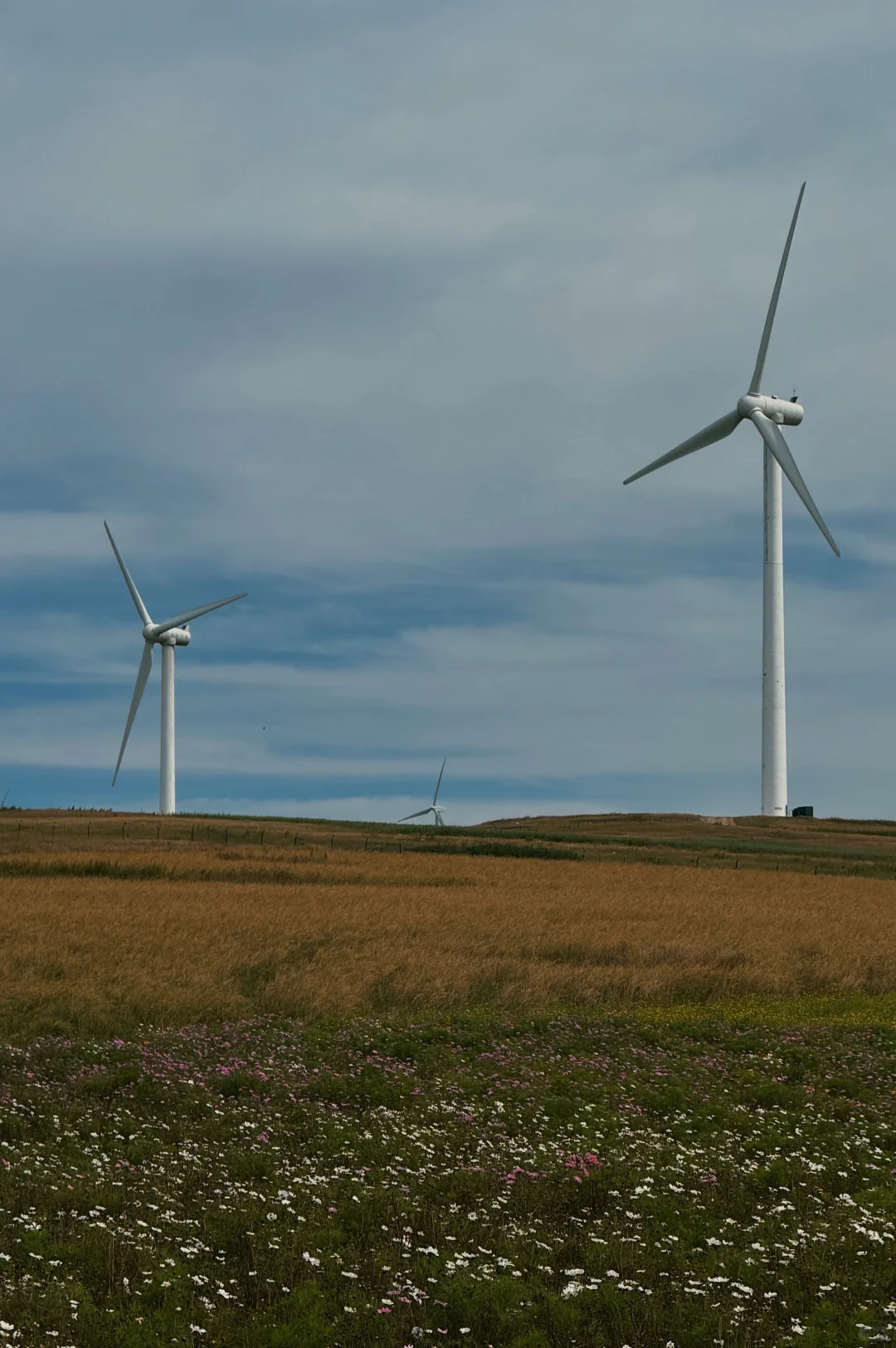 乌兰哈达火山🌋·内蒙古