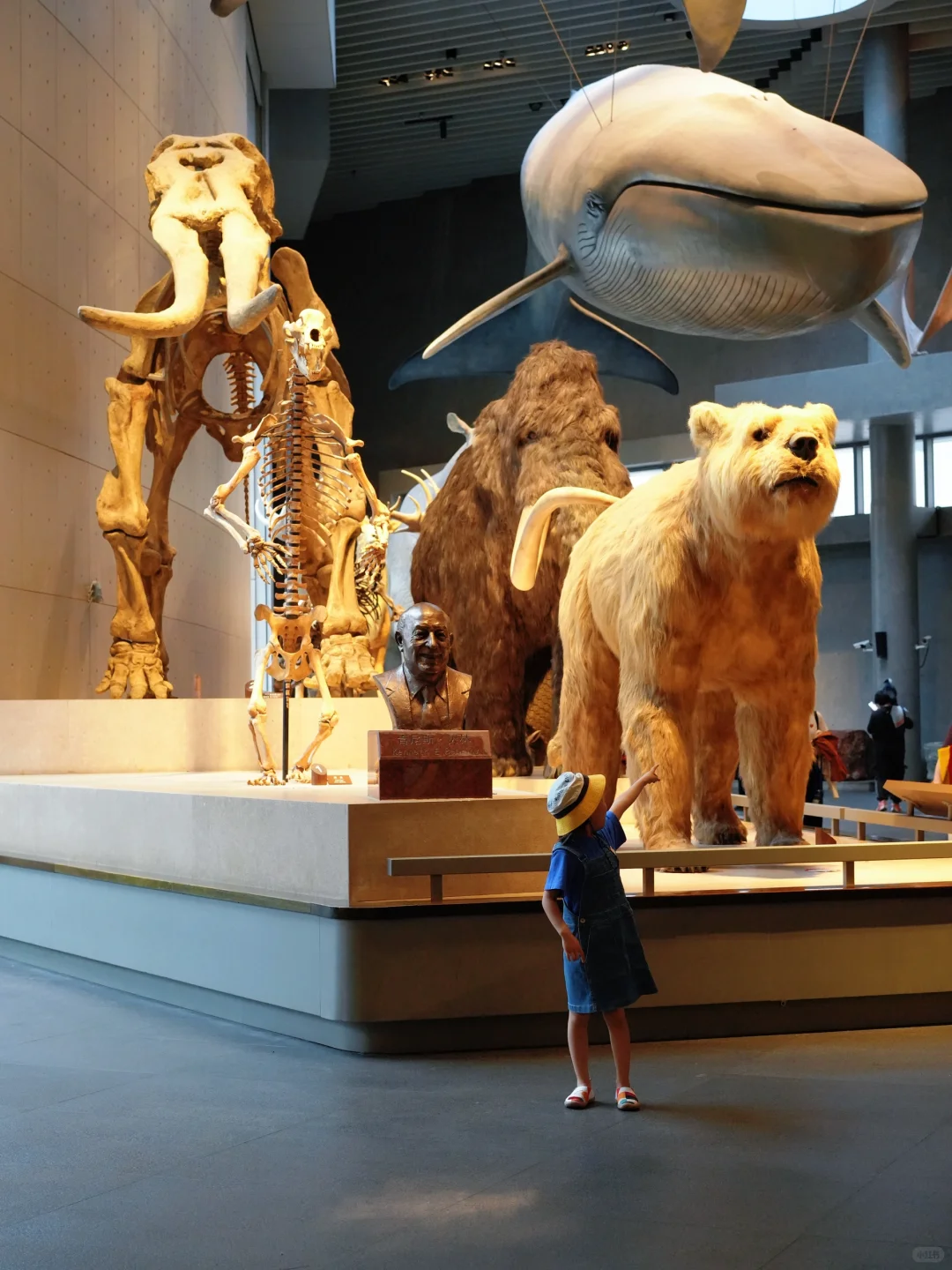 迄今为止‼️最实用的上海亲子游玩攻略出现了