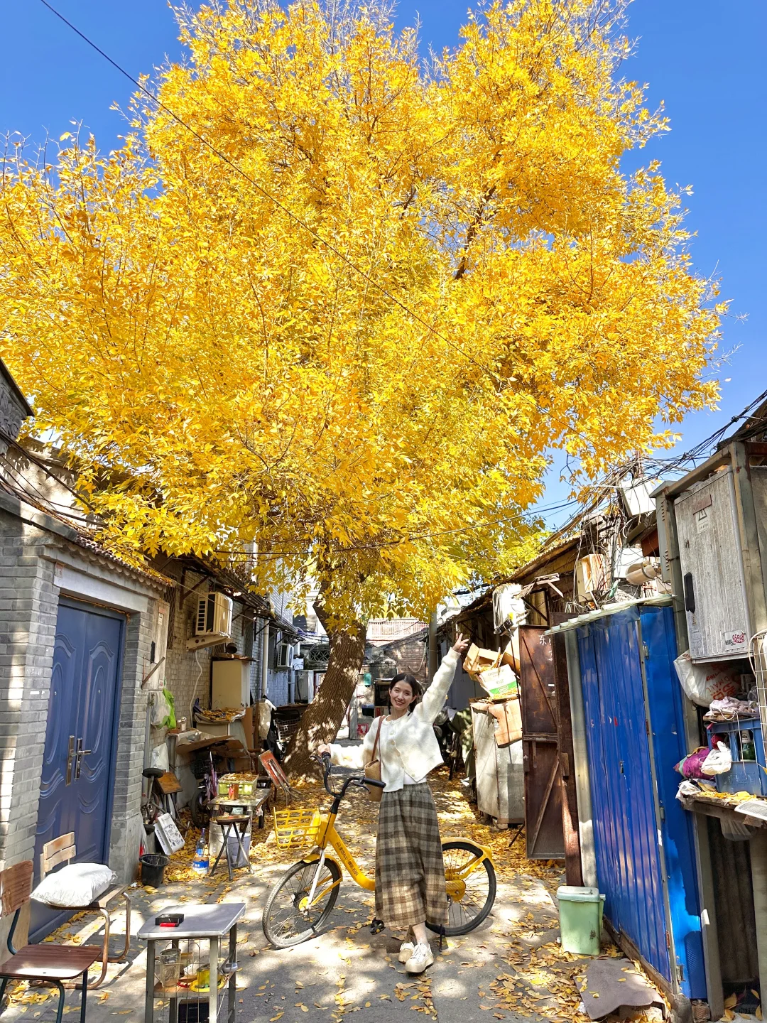 北京开始赏秋啦❗️附3⃣️条胡同赏秋路线🗺️