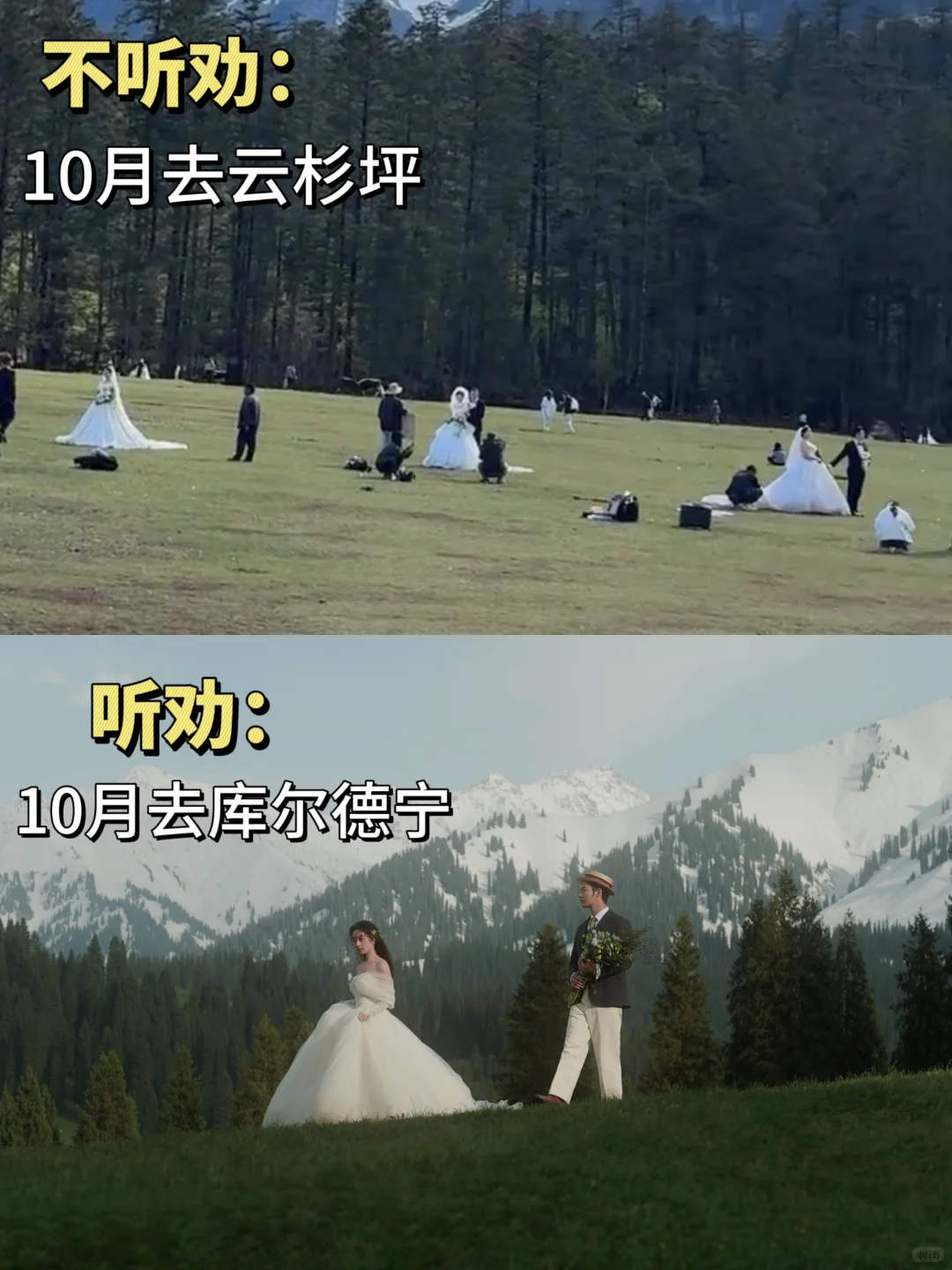 10月旅拍婚纱照现状😓想旅行结婚的听劝‼️