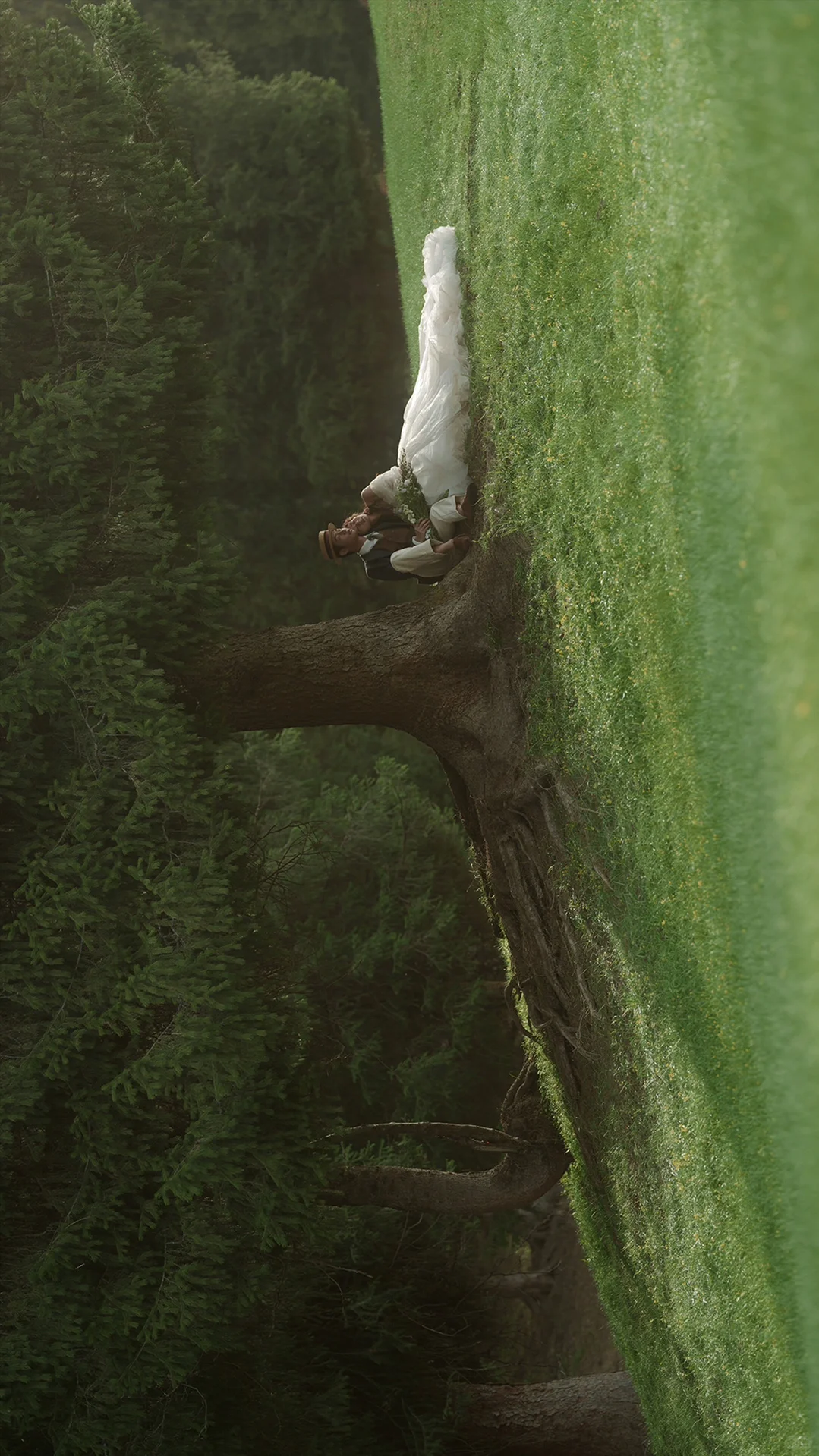 10月旅拍婚纱照现状😓想旅行结婚的听劝‼️