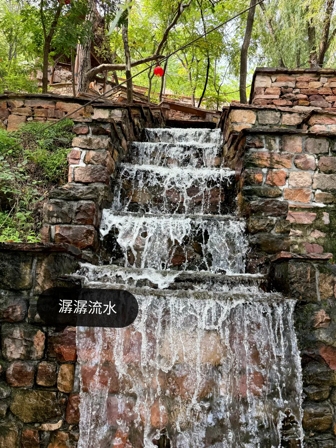 误入绿野仙踪🧚🏻