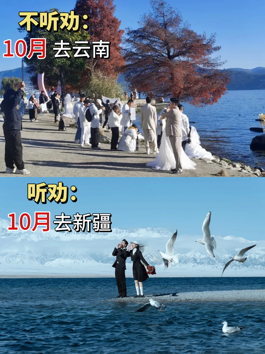 10月旅拍婚纱照现状😓想旅行结婚的听劝‼️