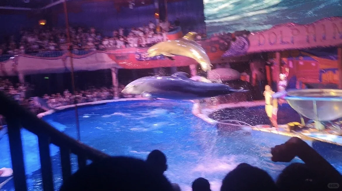 大连市民过生日免费去景区