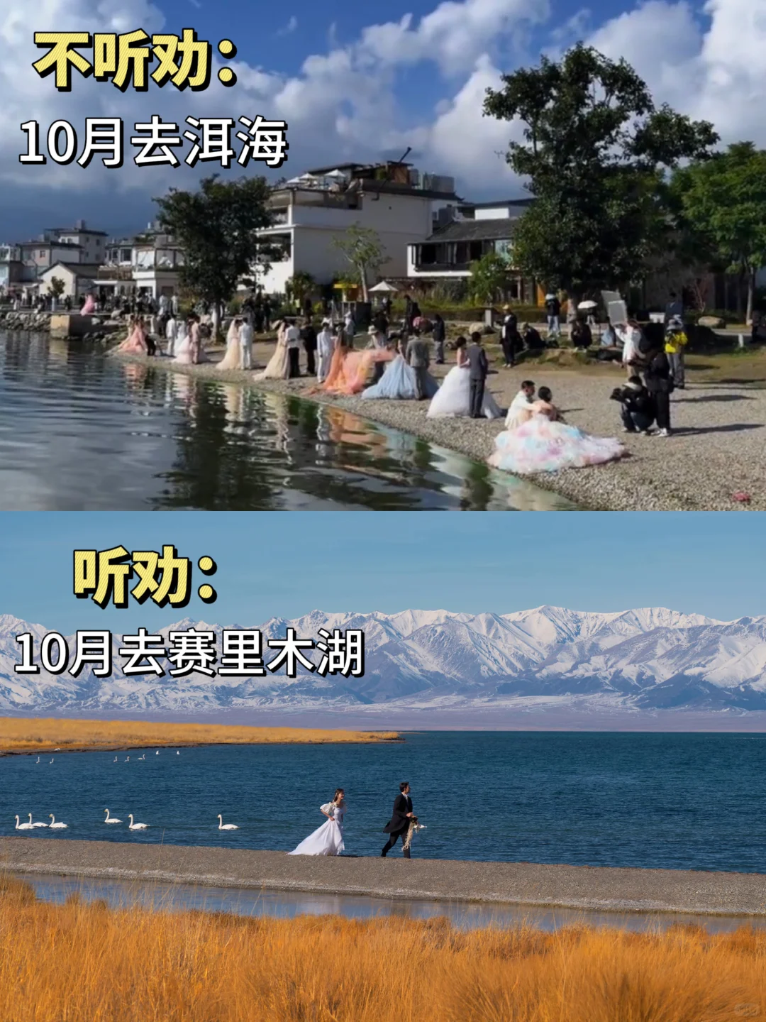 10月旅拍婚纱照现状😓想旅行结婚的听劝‼️