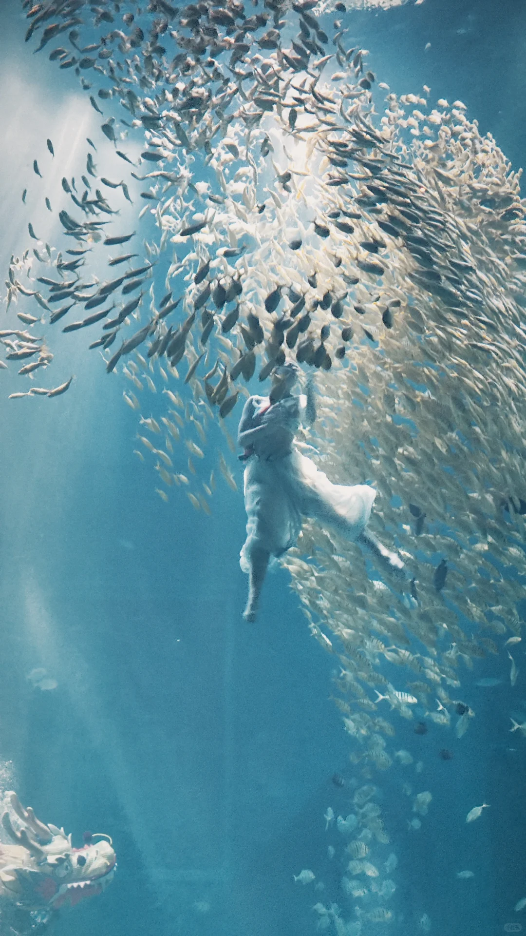 小梅沙海洋世界演出太绝了