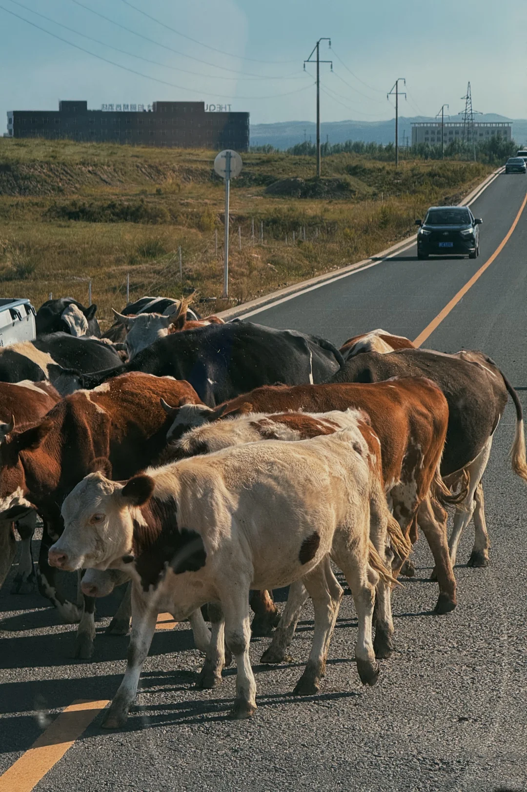 乌兰哈达火山🌋·内蒙古