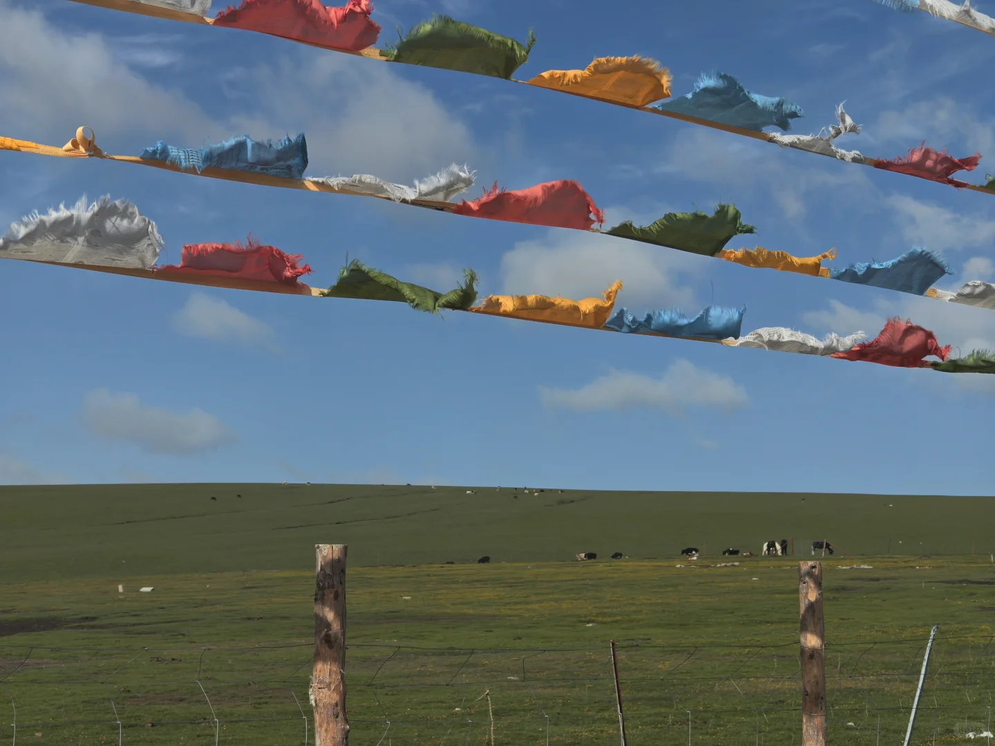 如题:想走遍所有的最美自驾路线。