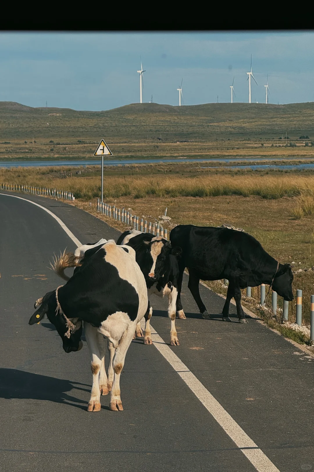 乌兰哈达火山🌋·内蒙古