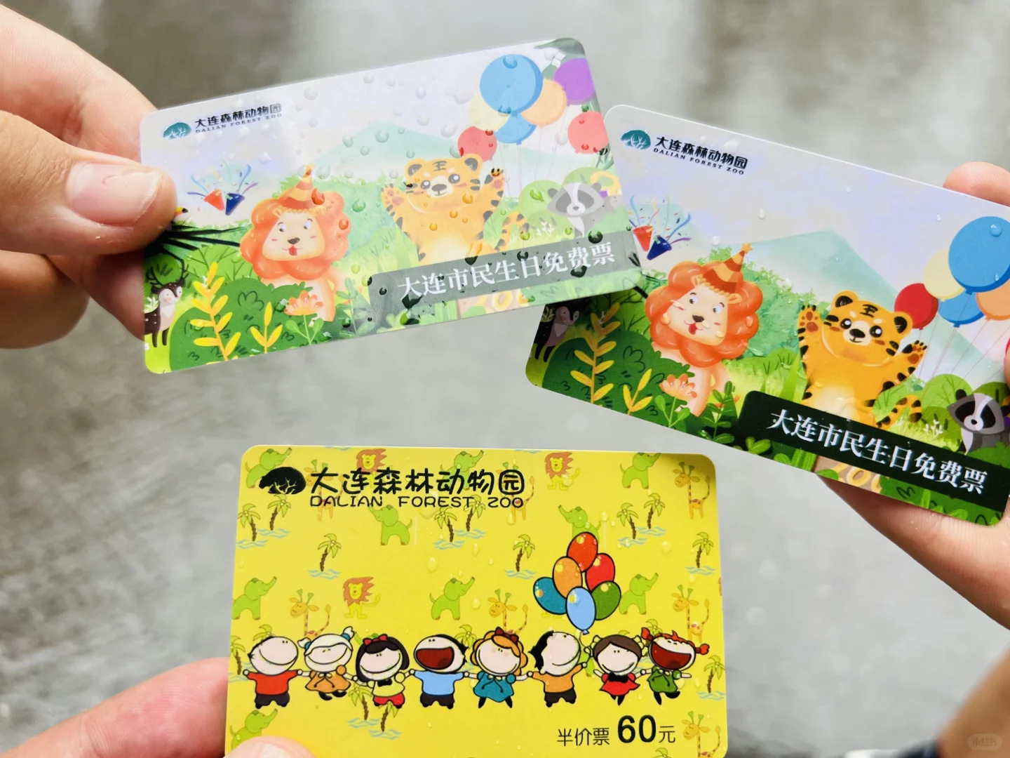 大连市民过生日免费去景区