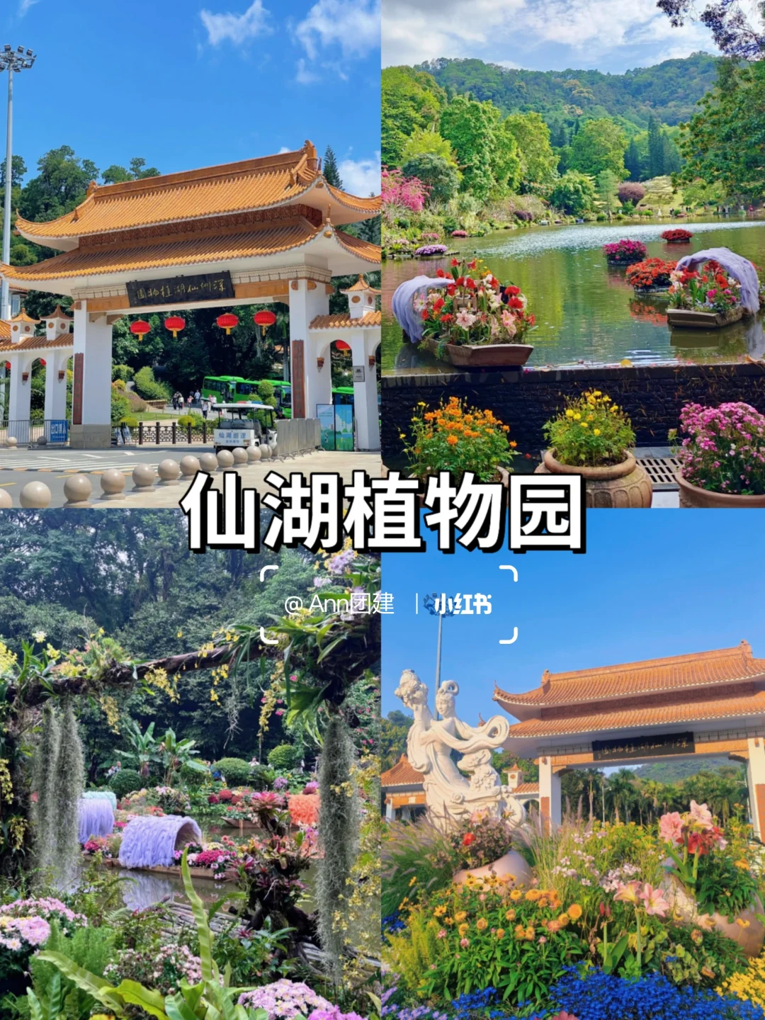 深圳地铁直达12个宝藏景点攻略🚇速码🔥