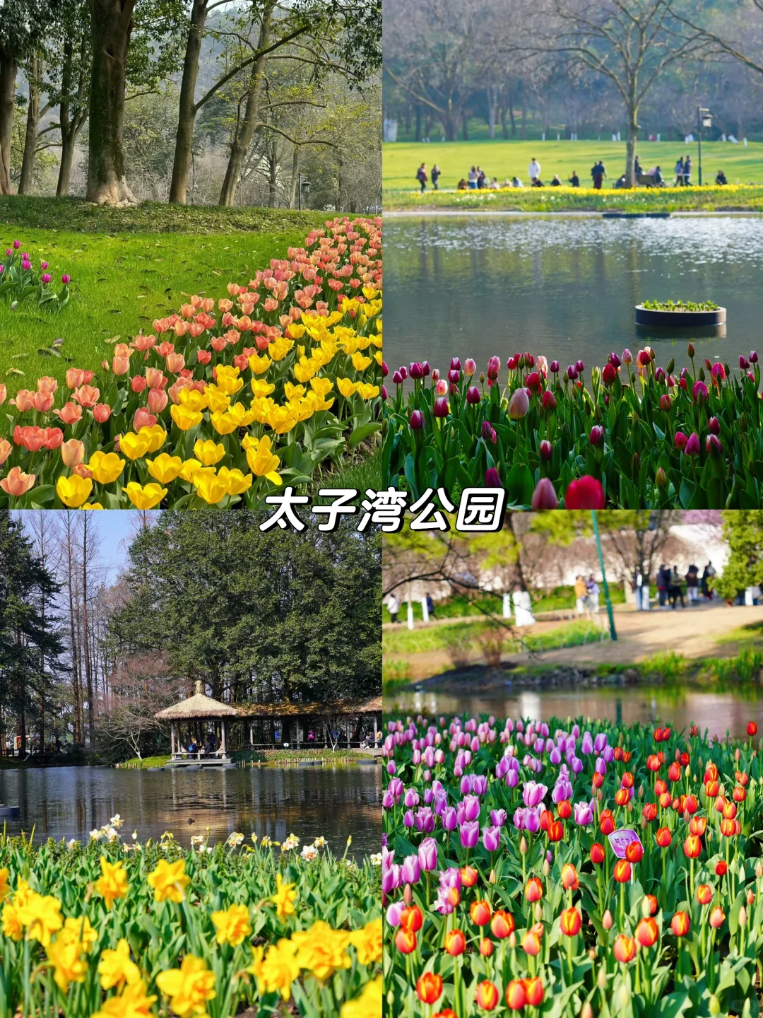 杭州除了西湖！还有这些地方更值得去！