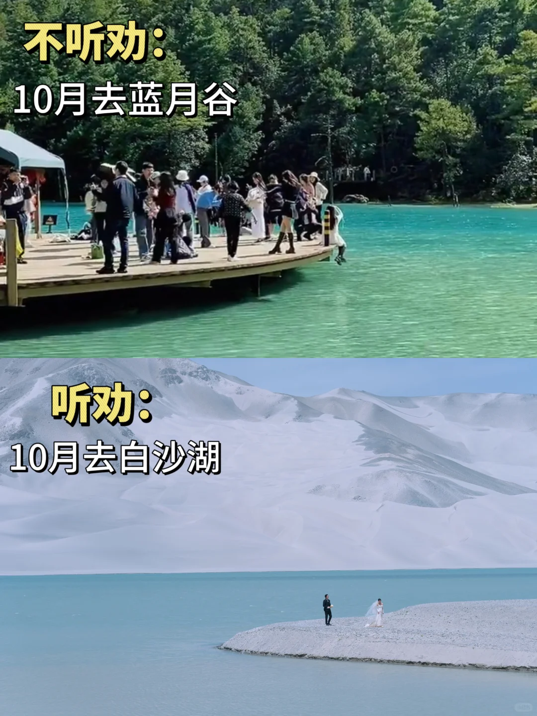 10月旅拍婚纱照现状😓想旅行结婚的听劝‼️