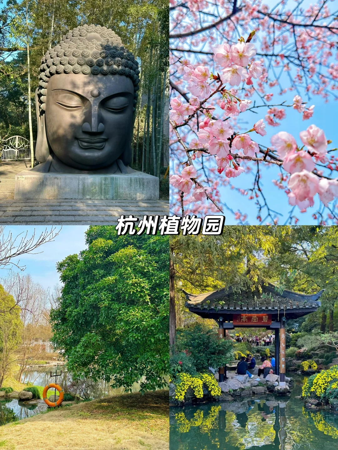 杭州除了西湖！还有这些地方更值得去！