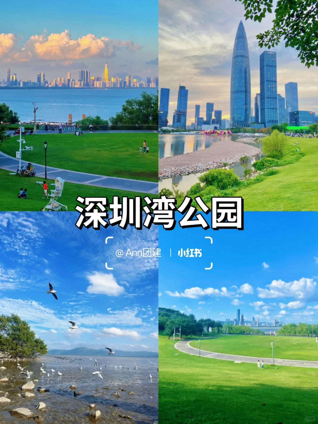 深圳地铁直达12个宝藏景点攻略🚇速码🔥