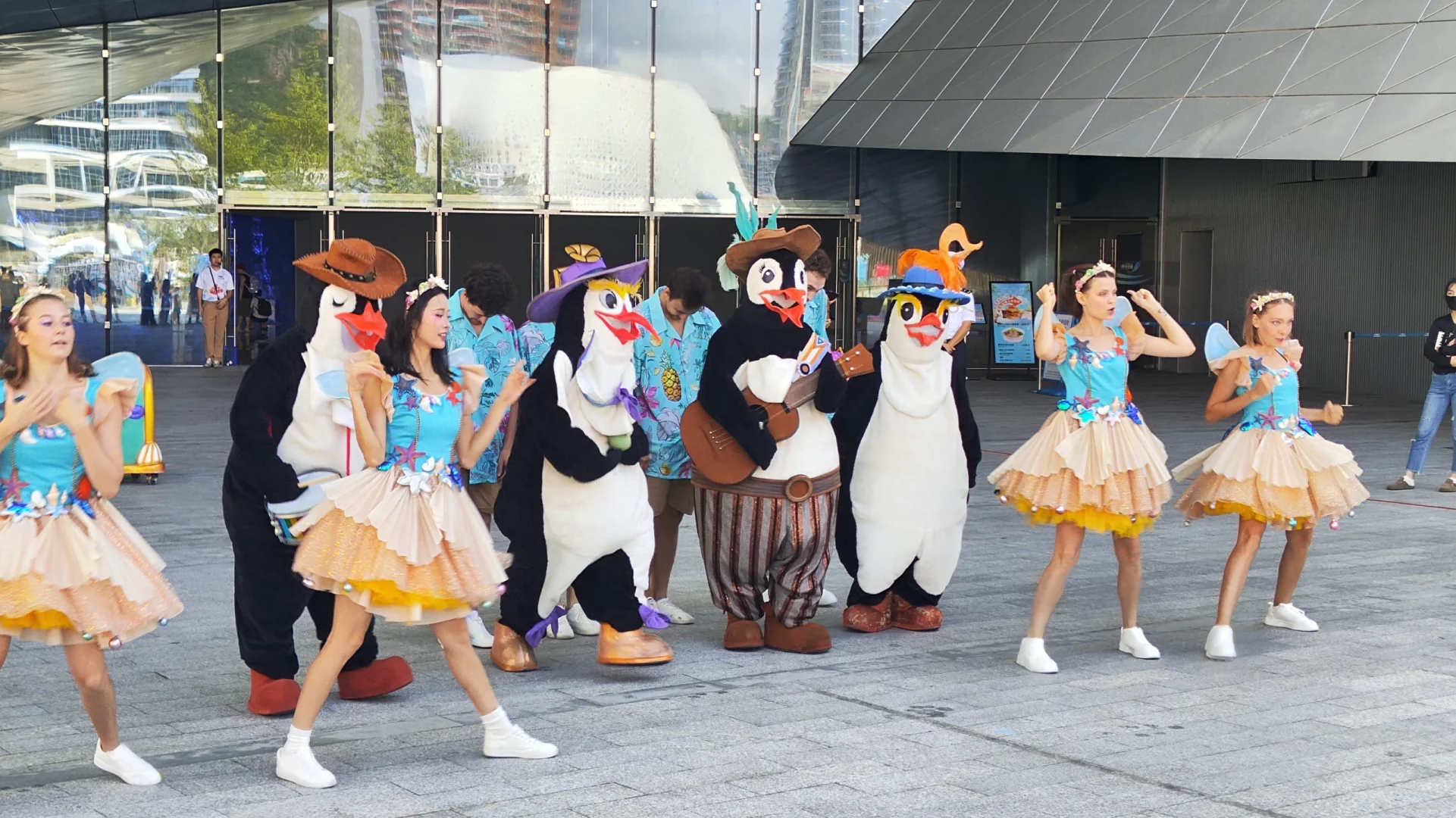 小梅沙海洋世界演出太绝了