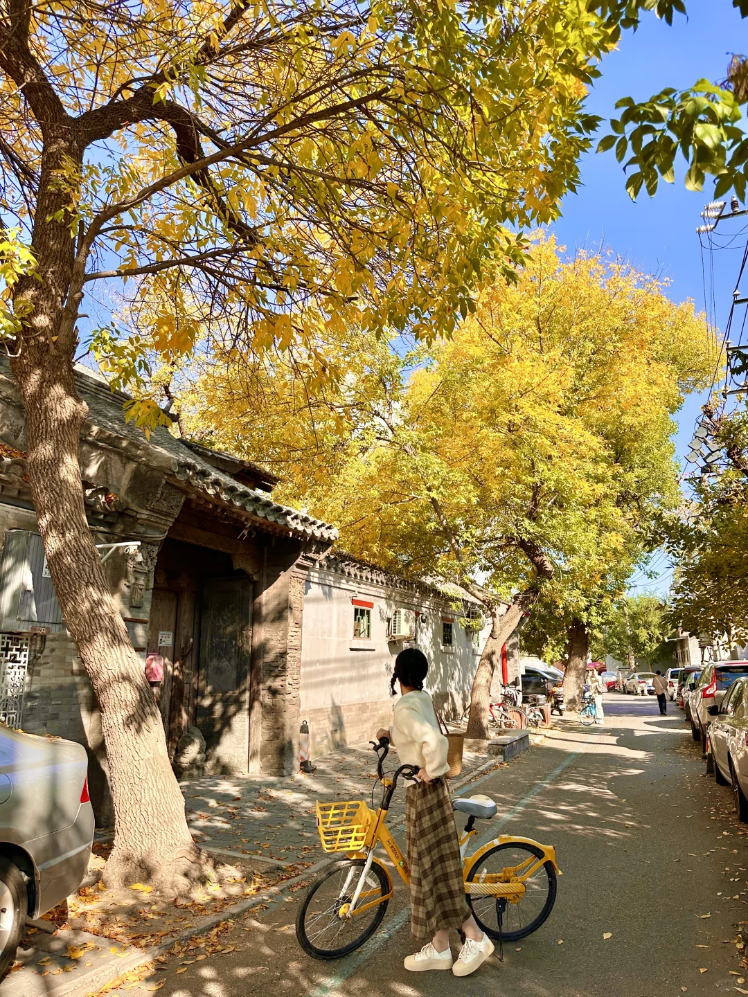 北京开始赏秋啦❗️附3⃣️条胡同赏秋路线🗺️