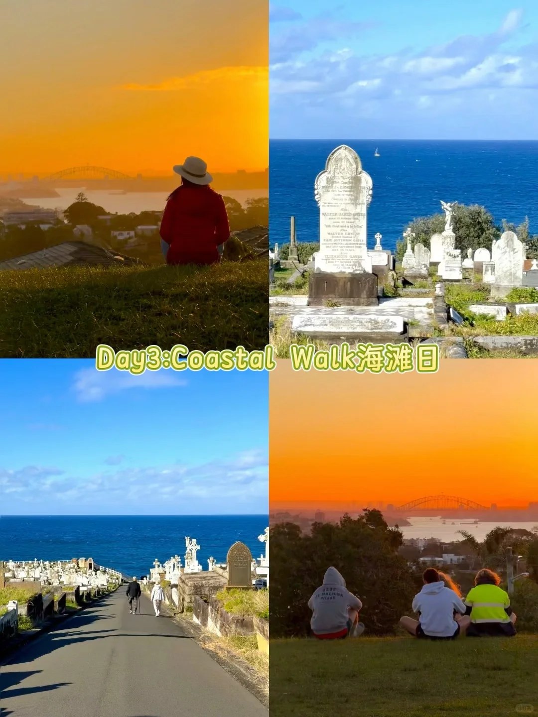 澳大利亚🇦🇺|4城15天花费1万5纯干货攻略❗️