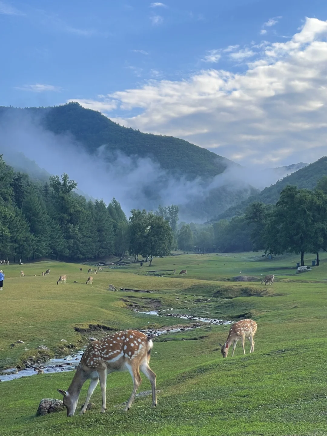 长春自驾伊春！真的太美了！东北自己的阿勒泰