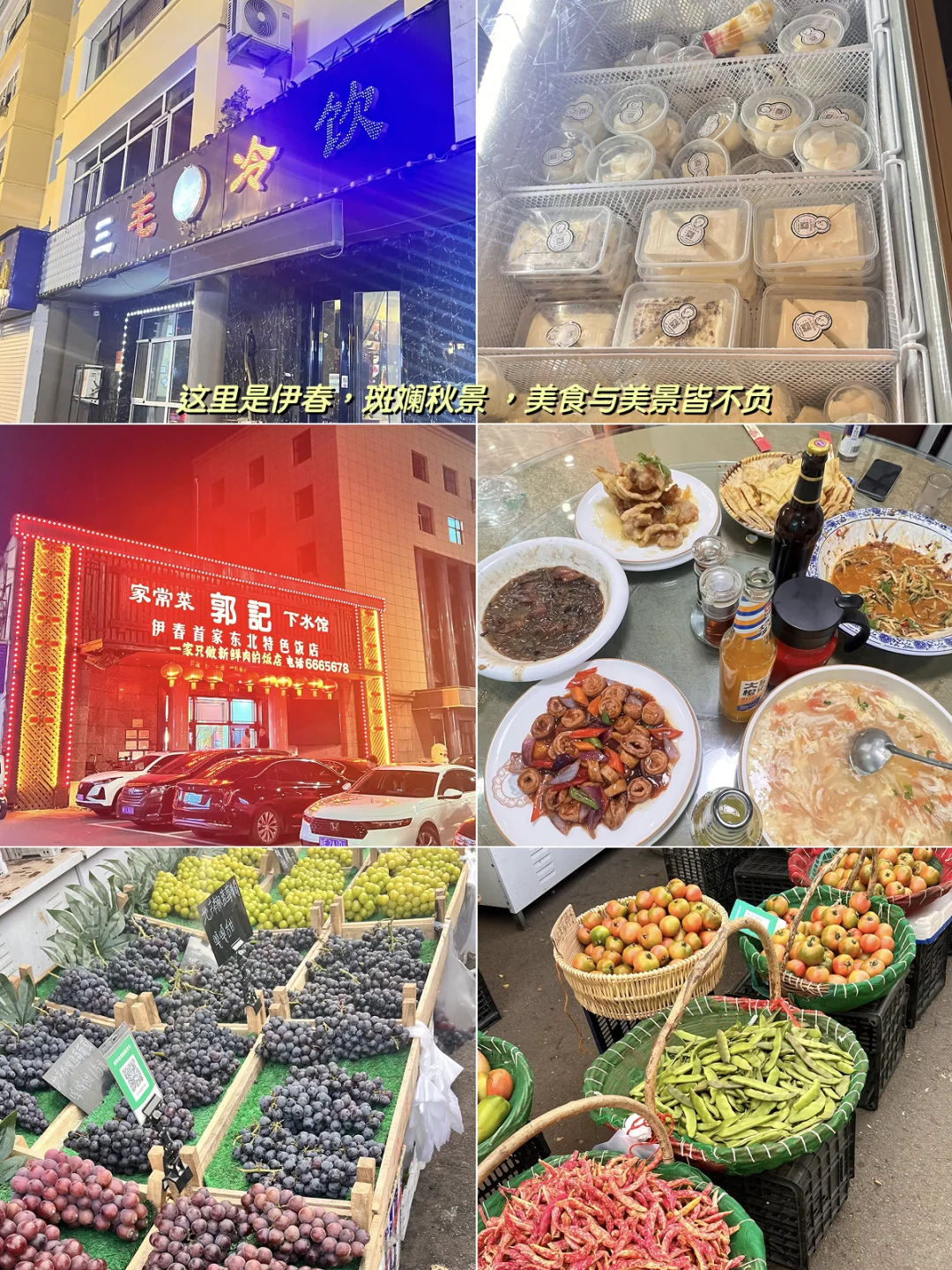 在忙碌的生活里，留一些时间和空间给生命