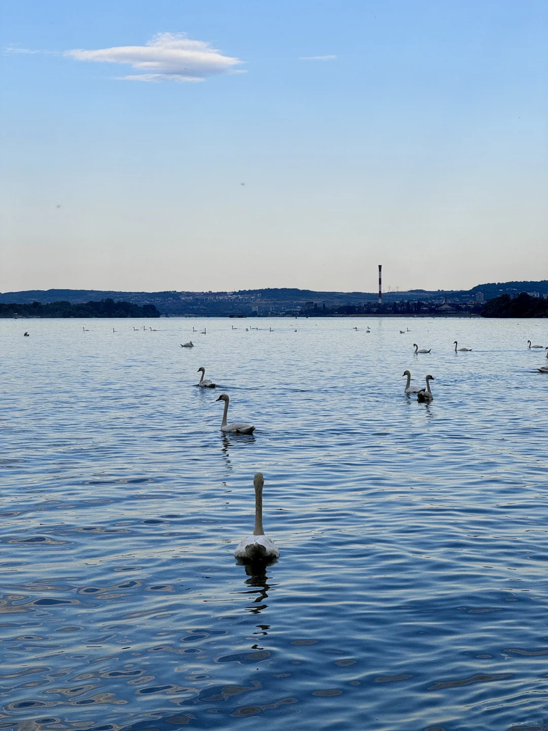 📍塞尔维亚 免签说走就走