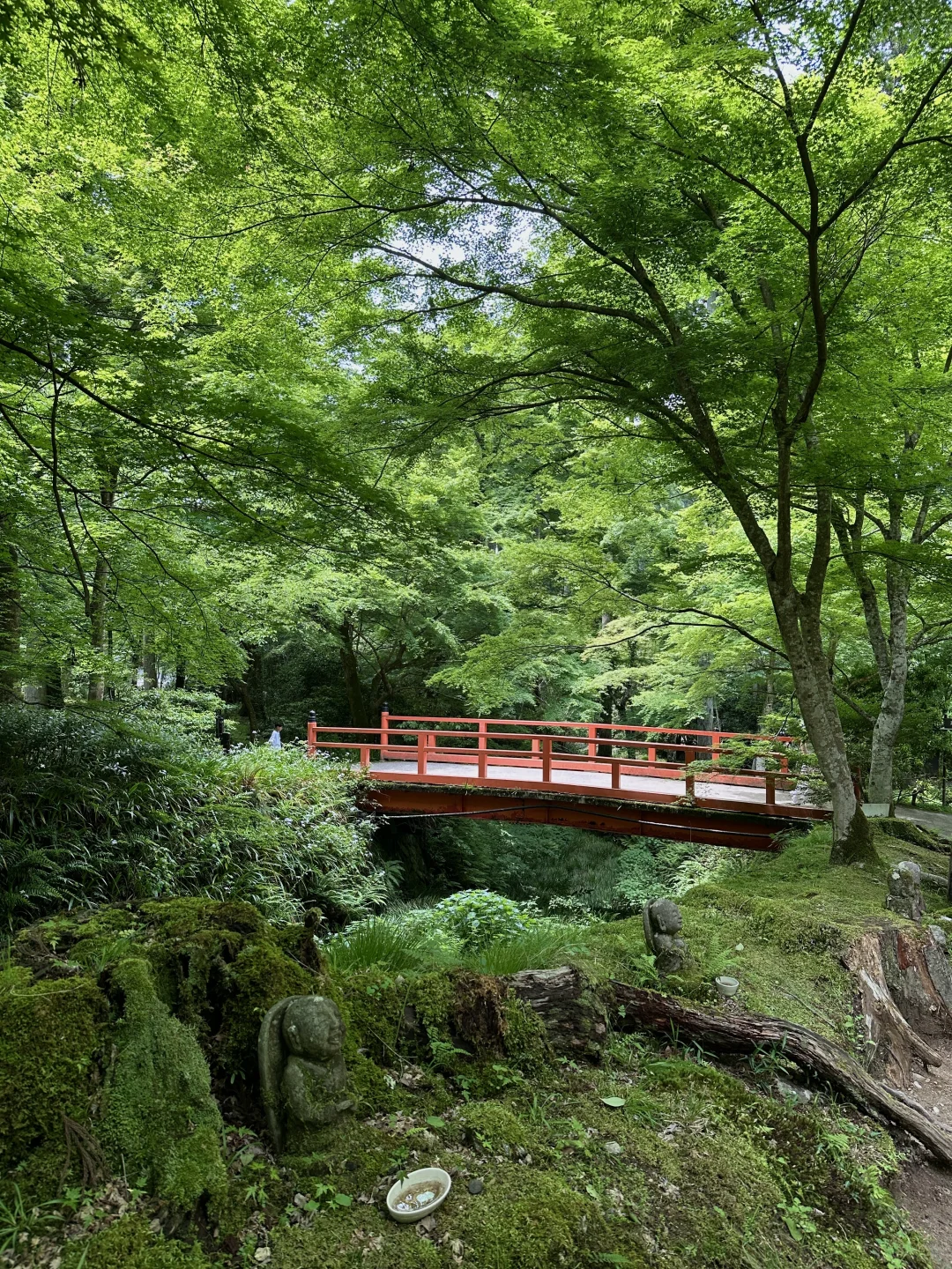 日本🇯🇵五日游全程无预约｜附精华攻略🌟