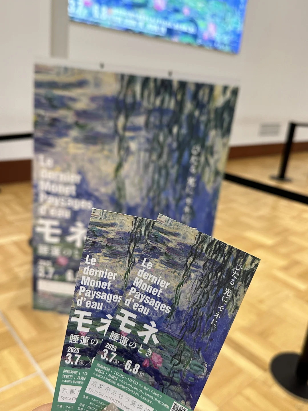 日本🇯🇵五日游全程无预约｜附精华攻略🌟